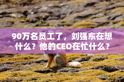 90万名员工了，刘强东在想什么？他的CEO在忙什么？