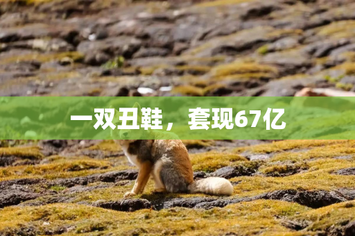 一双丑鞋，套现67亿