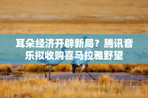 耳朵经济开辟新局？腾讯音乐拟收购喜马拉雅野望