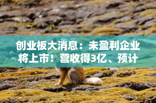 创业板大消息：未盈利企业将上市！营收得3亿、预计市值能达50亿
