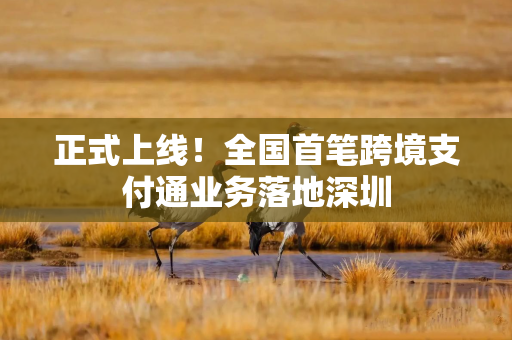正式上线！全国首笔跨境支付通业务落地深圳