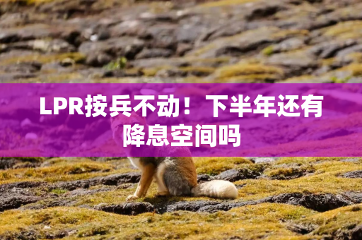 LPR按兵不动！下半年还有降息空间吗