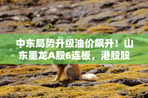 中东局势升级油价飙升！山东墨龙A股6连板，港股股价同期翻倍