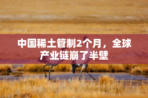 中国稀土管制2个月，全球产业链崩了半壁