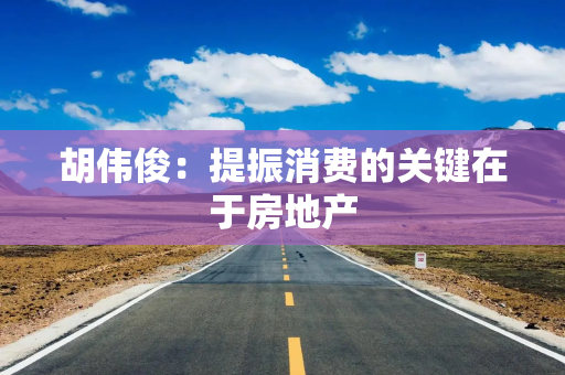 胡伟俊：提振消费的关键在于房地产