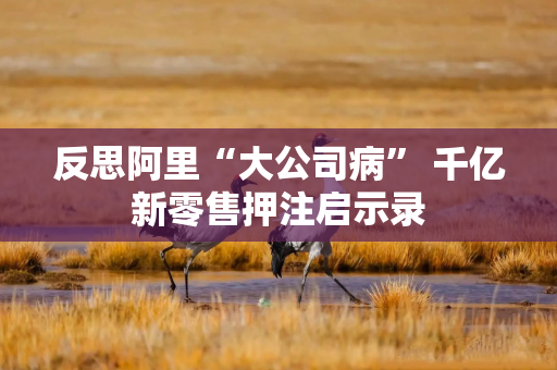 反思阿里“大公司病” 千亿新零售押注启示录