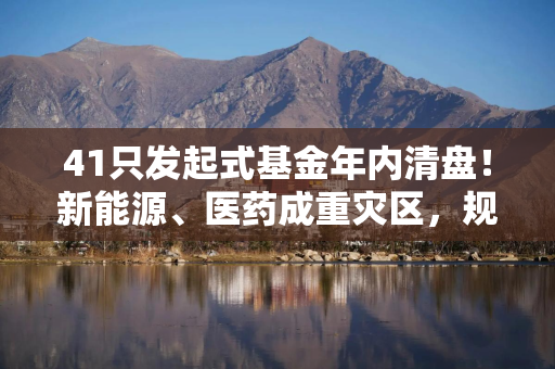 41只发起式基金年内清盘！新能源、医药成重灾区，规模“2亿红线”难跨越