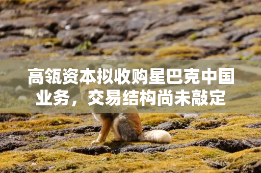 高瓴资本拟收购星巴克中国业务，交易结构尚未敲定