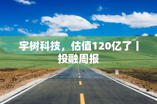 宇树科技，估值120亿了丨投融周报
