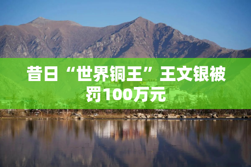 昔日“世界铜王”王文银被罚100万元