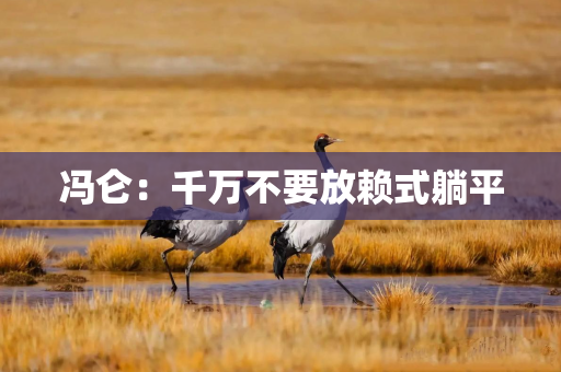 冯仑：千万不要放赖式躺平
