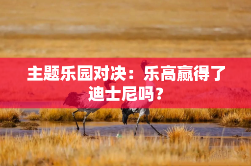 主题乐园对决：乐高赢得了迪士尼吗？