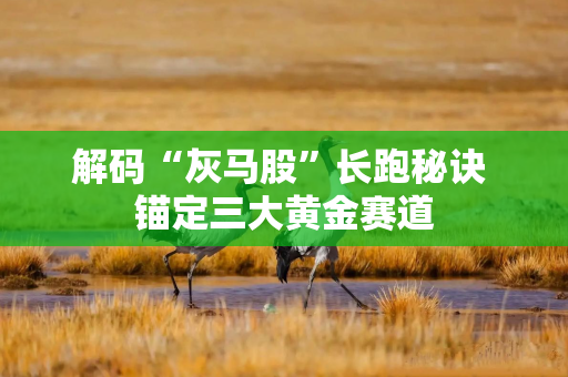 解码“灰马股”长跑秘诀 锚定三大黄金赛道