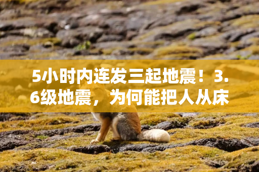 5小时内连发三起地震！3.6级地震，为何能把人从床上晃醒？