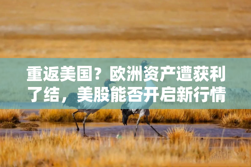 重返美国？欧洲资产遭获利了结，美股能否开启新行情