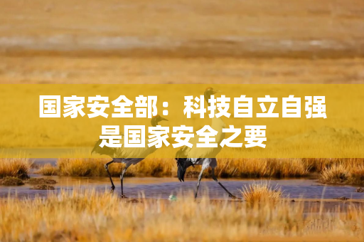 国家安全部：科技自立自强是国家安全之要