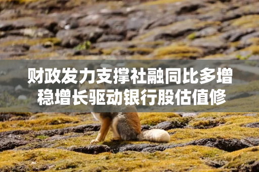 财政发力支撑社融同比多增 稳增长驱动银行股估值修复