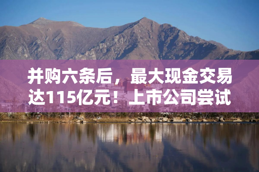 并购六条后，最大现金交易达115亿元！上市公司尝试定向可转债重组