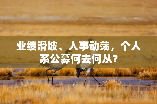 业绩滑坡、人事动荡，个人系公募何去何从？
