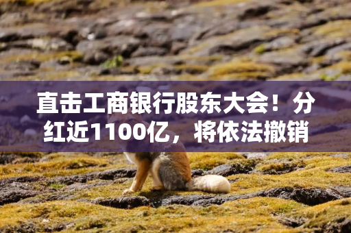 直击工商银行股东大会！分红近1100亿，将依法撤销监事会