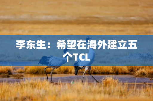 李东生：希望在海外建立五个TCL
