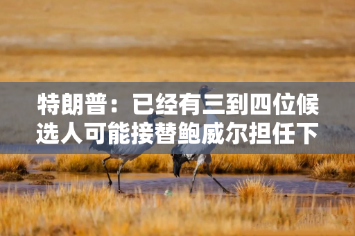 特朗普：已经有三到四位候选人可能接替鲍威尔担任下任美联储主席
