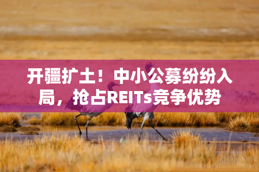 开疆扩土！中小公募纷纷入局，抢占REITs竞争优势