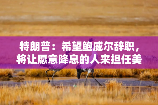 特朗普：希望鲍威尔辞职，将让愿意降息的人来担任美联储主席