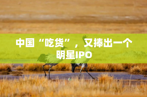 中国“吃货”，又捧出一个明星IPO