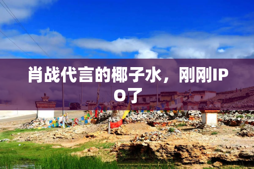 肖战代言的椰子水，刚刚IPO了