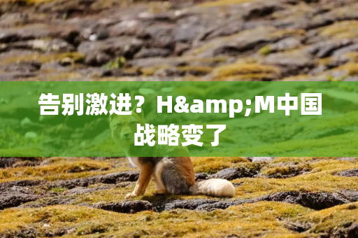 告别激进？H&M中国战略变了