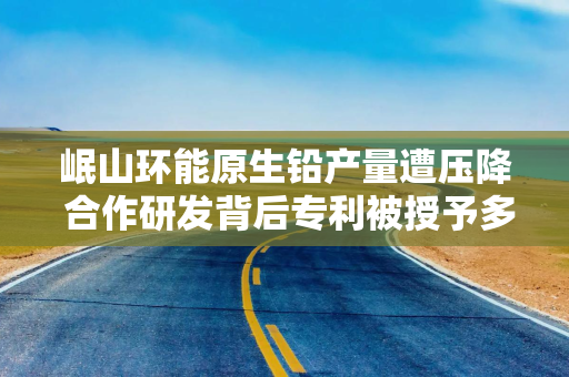 岷山环能原生铅产量遭压降 合作研发背后专利被授予多家同行使用