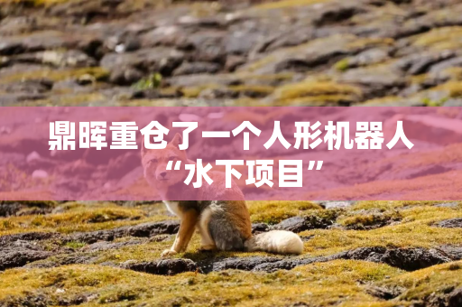 鼎晖重仓了一个人形机器人“水下项目”