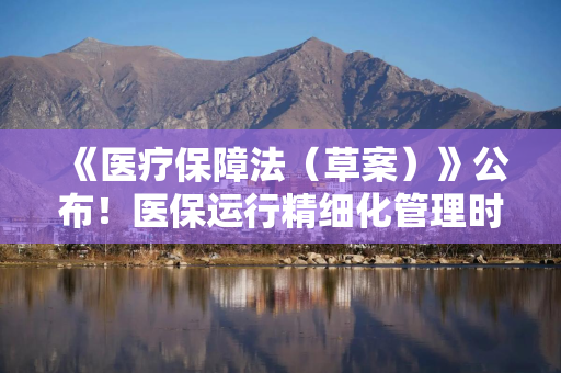 《医疗保障法（草案）》公布！医保运行精细化管理时代到来