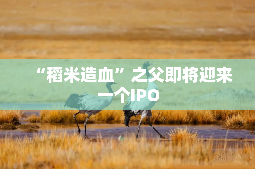 “稻米造血”之父即将迎来一个IPO
