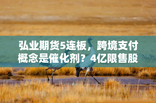 弘业期货5连板，跨境支付概念是催化剂？4亿限售股将解禁