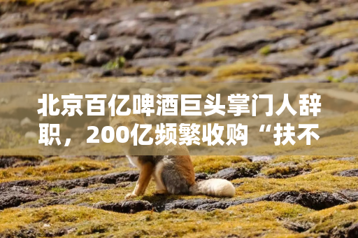 北京百亿啤酒巨头掌门人辞职，200亿频繁收购“扶不起”白酒业务