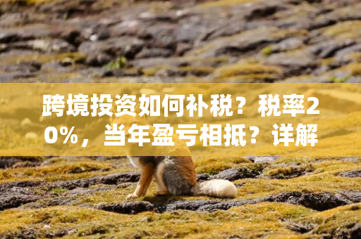 跨境投资如何补税？税率20%，当年盈亏相抵？详解来了