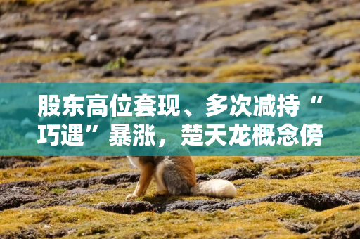 股东高位套现、多次减持“巧遇”暴涨，楚天龙概念傍身难掩业绩隐忧