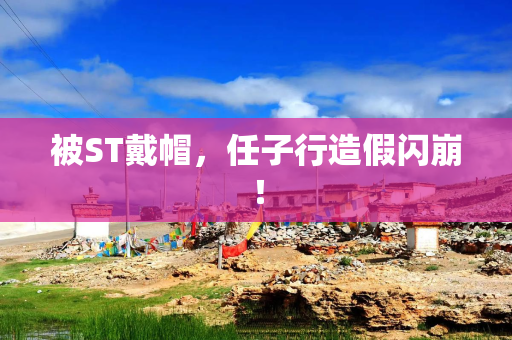 被ST戴帽，任子行造假闪崩！