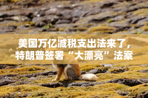 美国万亿减税支出法来了，特朗普签署“大漂亮”法案，看好经济和股市