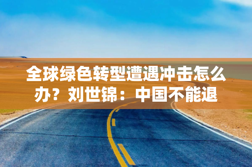 全球绿色转型遭遇冲击怎么办？刘世锦：中国不能退
