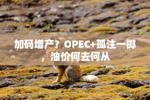 加码增产？OPEC+孤注一掷，油价何去何从