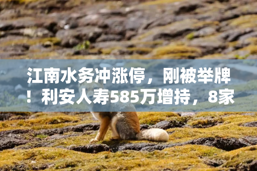 江南水务冲涨停，刚被举牌！利安人寿585万增持，8家险企扫货高息股