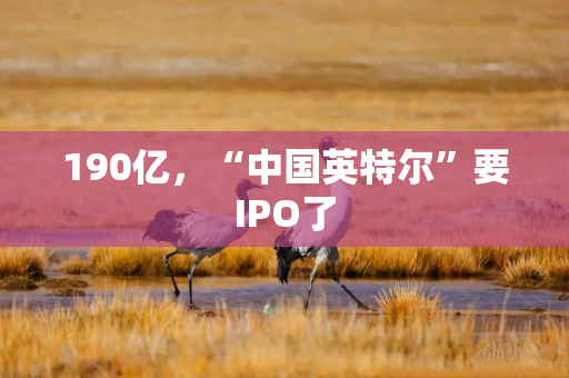 190亿，“中国英特尔”要IPO了