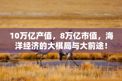 10万亿产值，8万亿市值，海洋经济的大棋局与大前途！