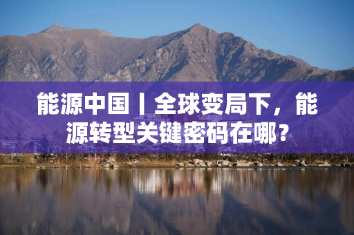 能源中国丨全球变局下，能源转型关键密码在哪？