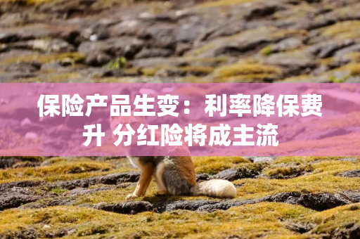 保险产品生变：利率降保费升 分红险将成主流