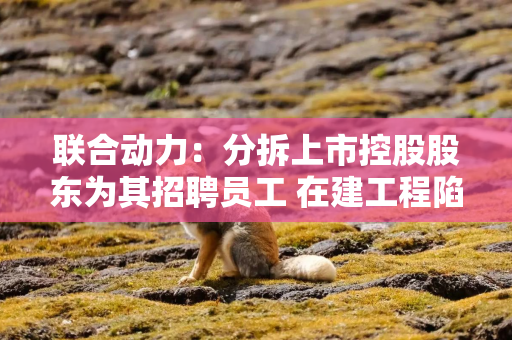 联合动力：分拆上市控股股东为其招聘员工 在建工程陷信披罗生门