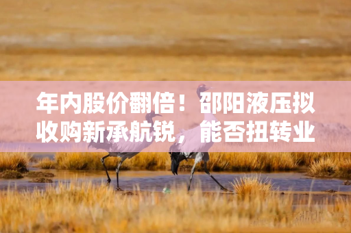 年内股价翻倍！邵阳液压拟收购新承航锐，能否扭转业绩？